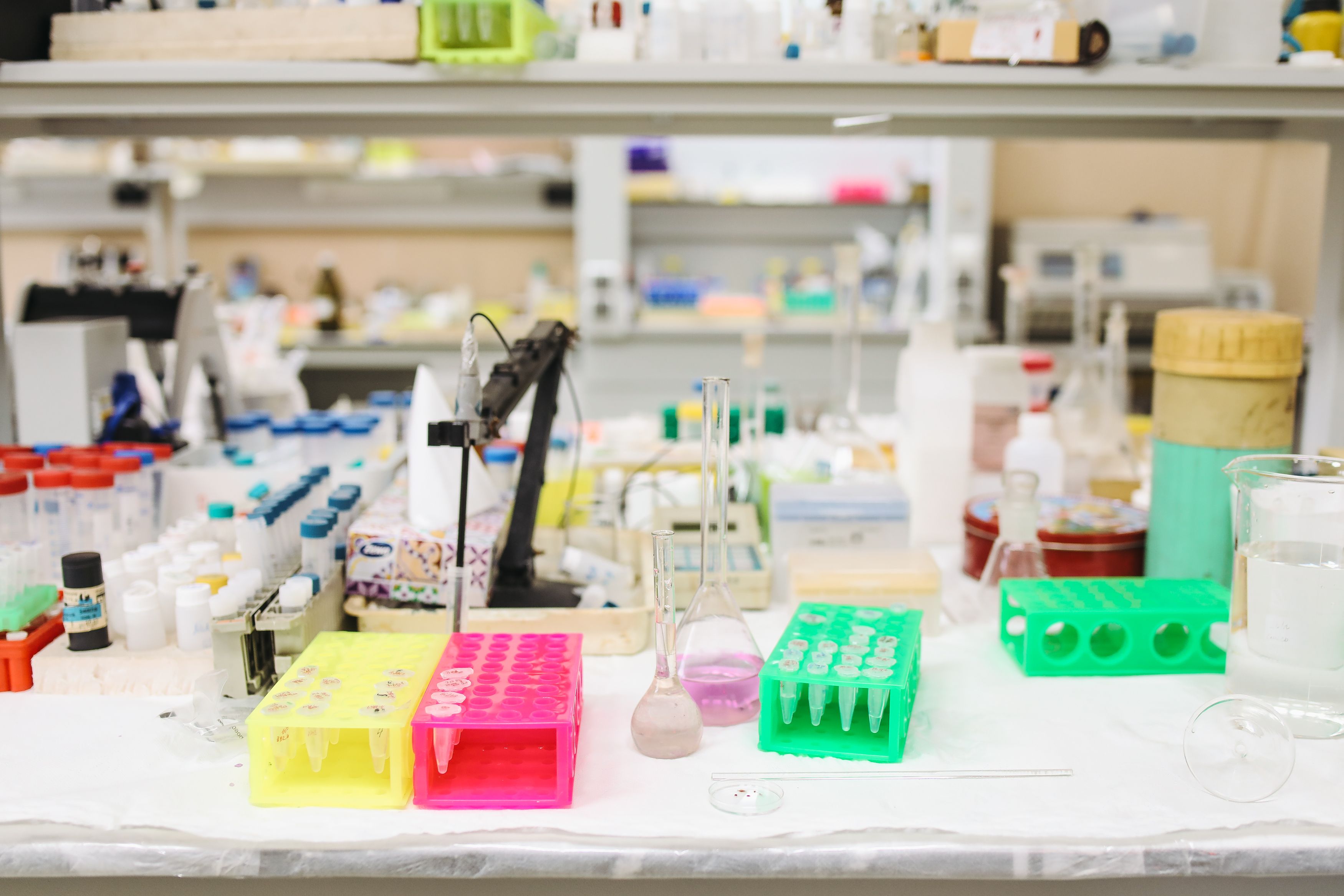 Bright and organized scientific laboratory with various equipment and test tubes.