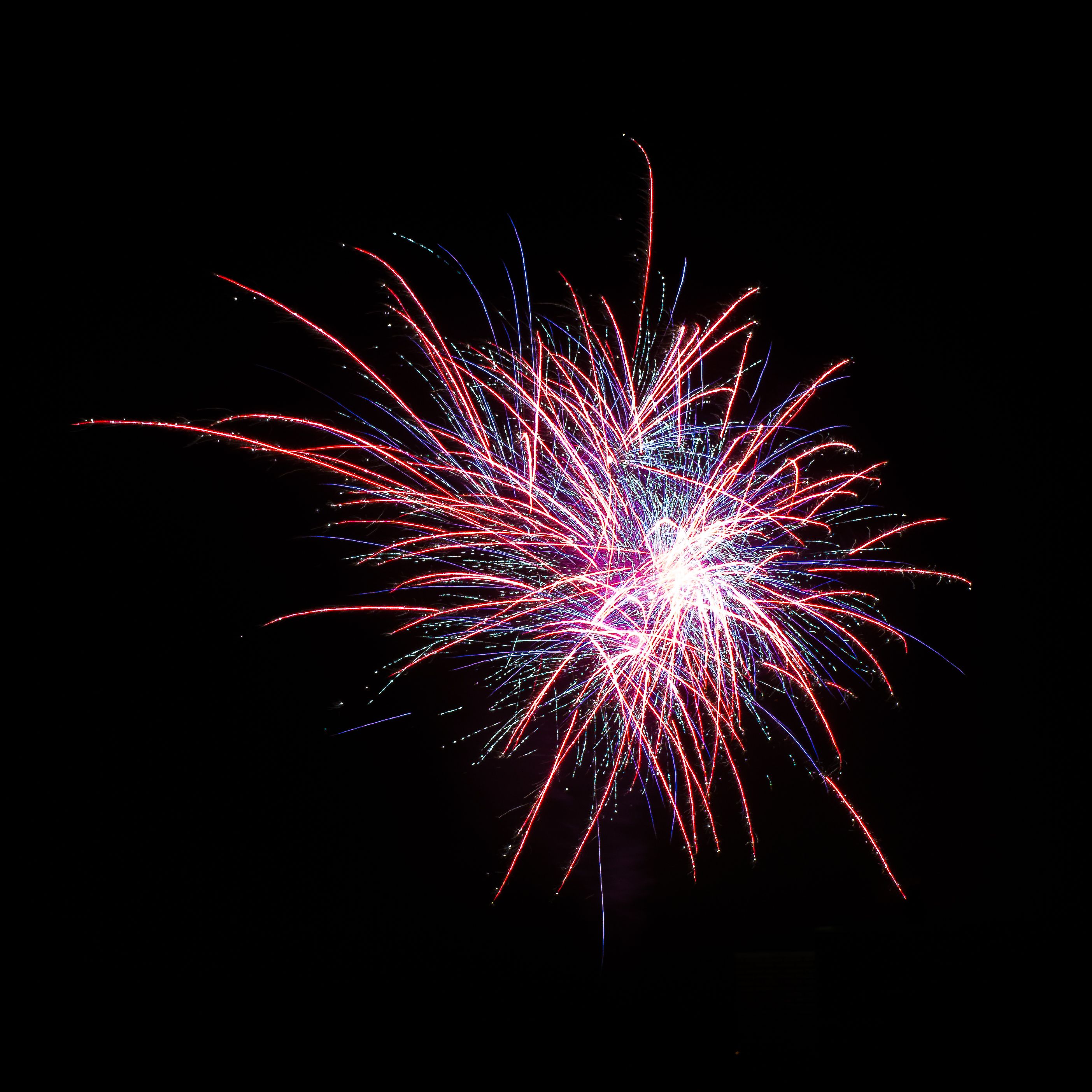 Vibrant fireworks exploding against a dark night sky, perfect for celebrations.