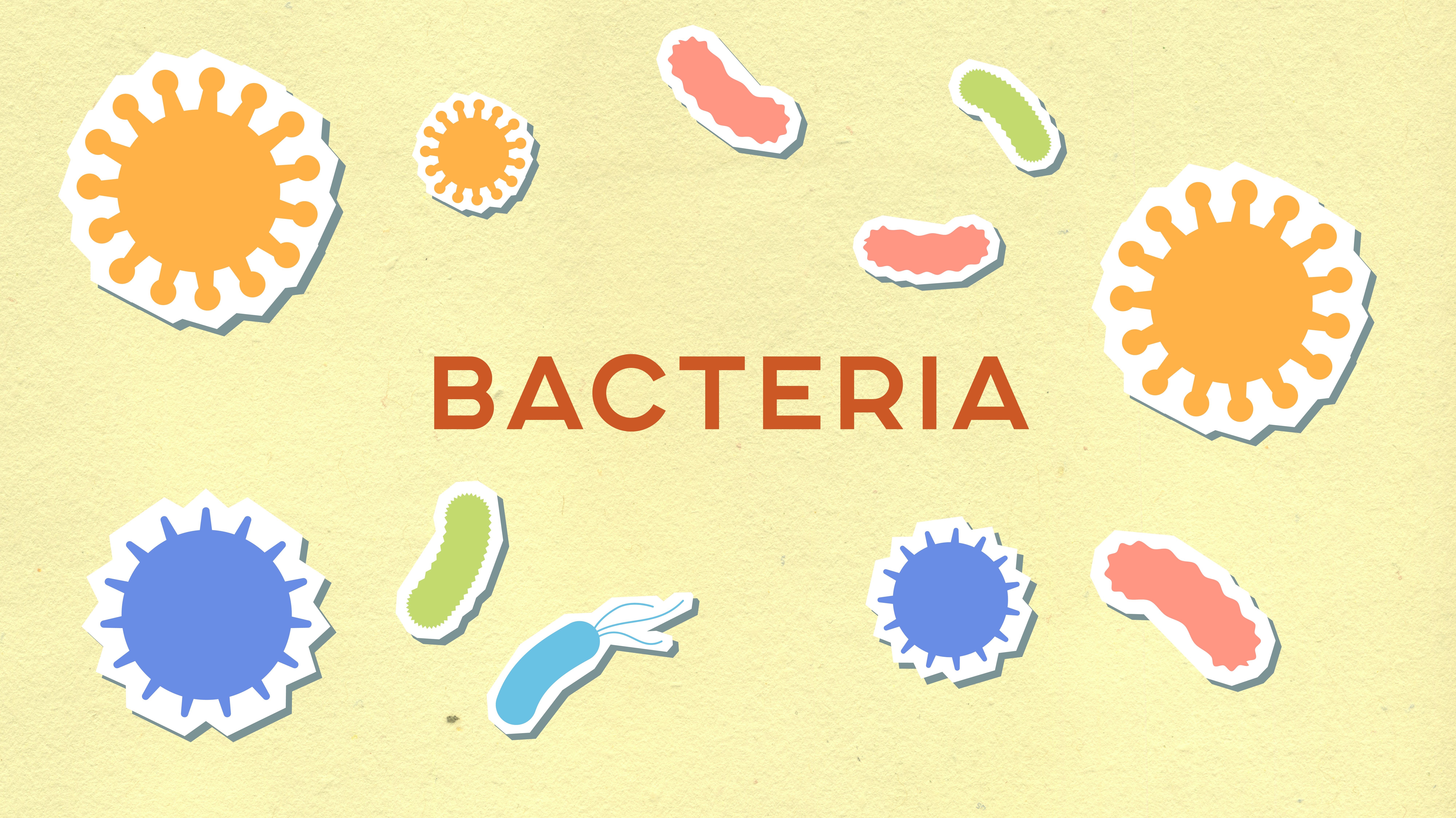 From above of decorative paper appliques with Bacteria title among assorted cells on light background