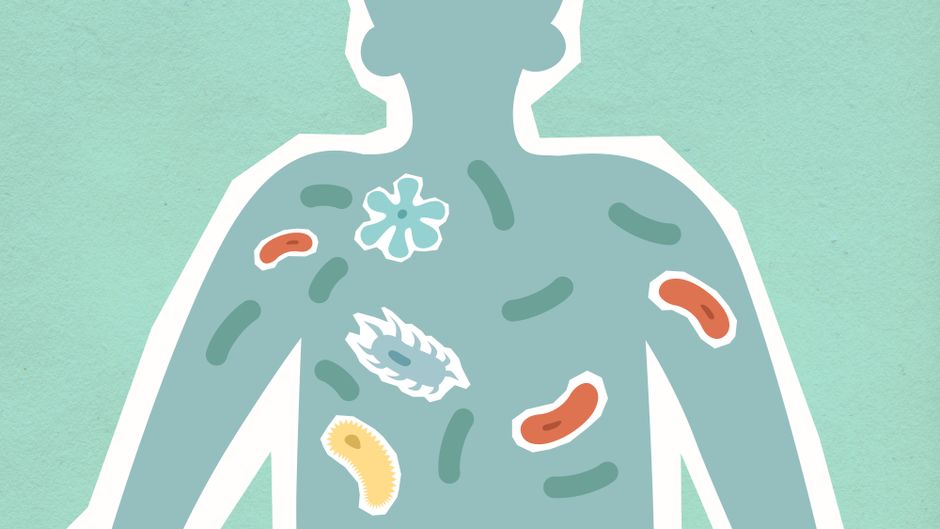 Glycolipids Explained: Structure, Function & Disorders