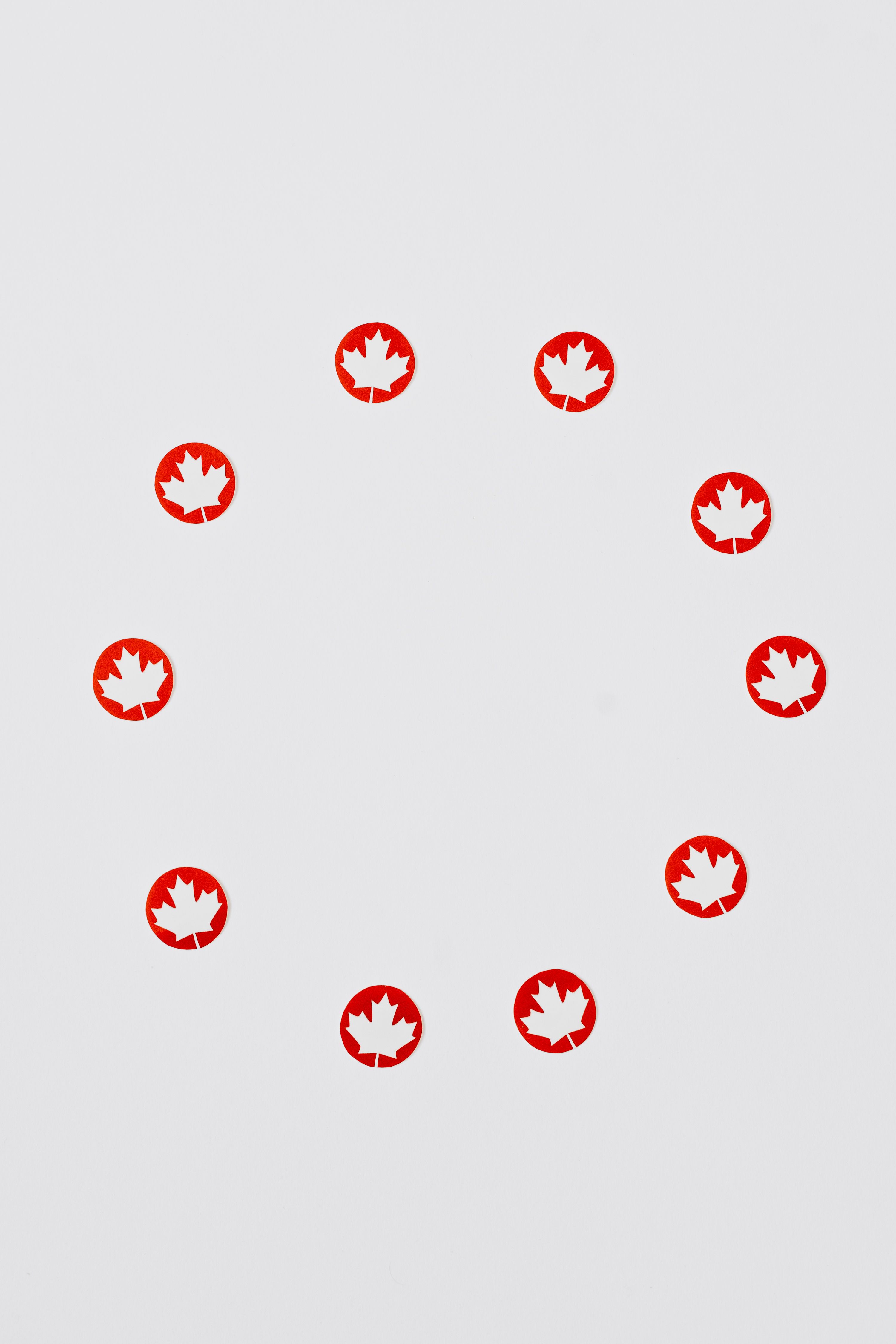 Minimalist arrangement of red maple leaf symbols forming a circle on a gray background.