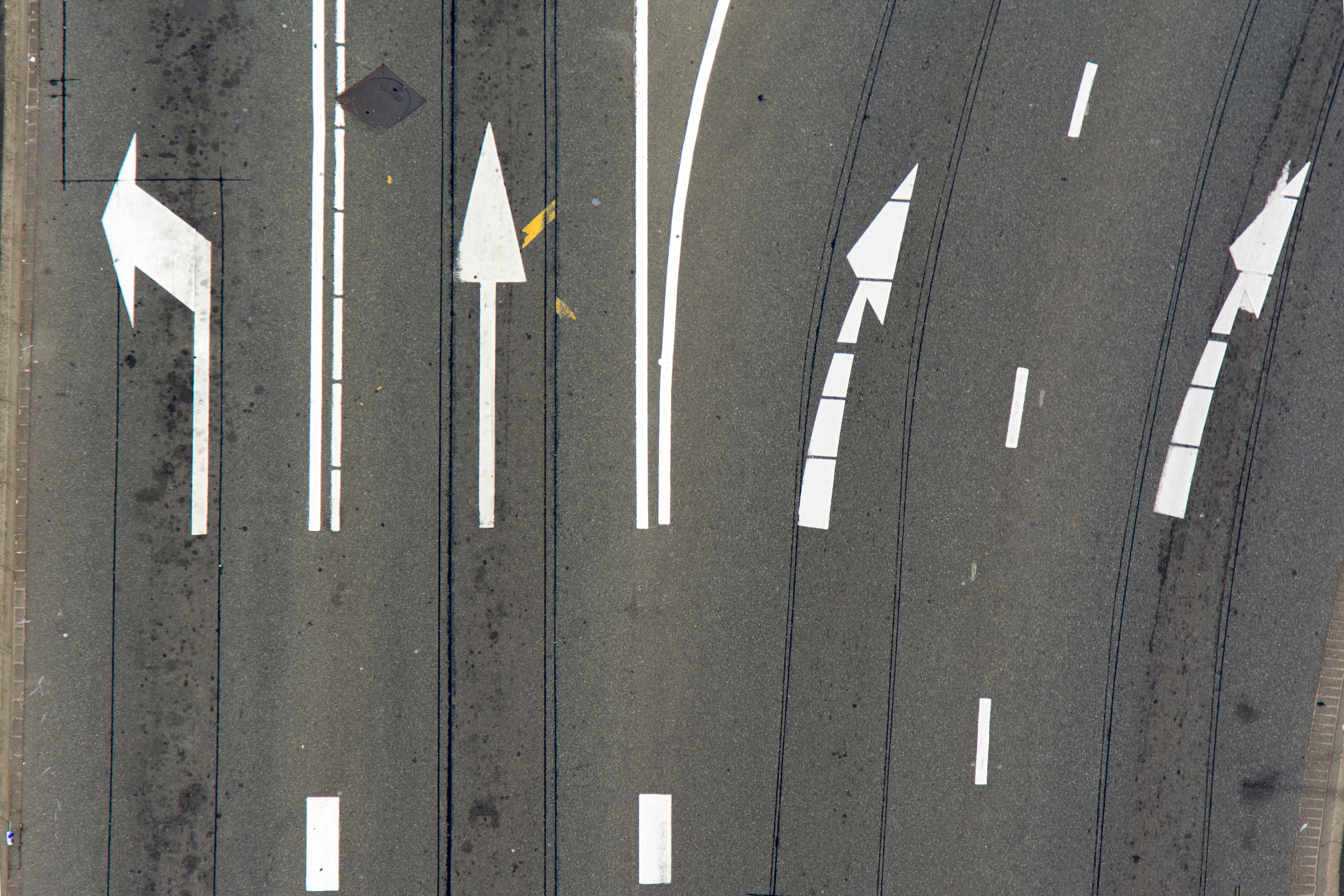 Left Skewed vs Right Skewed: The Ultimate Guide to Skewness