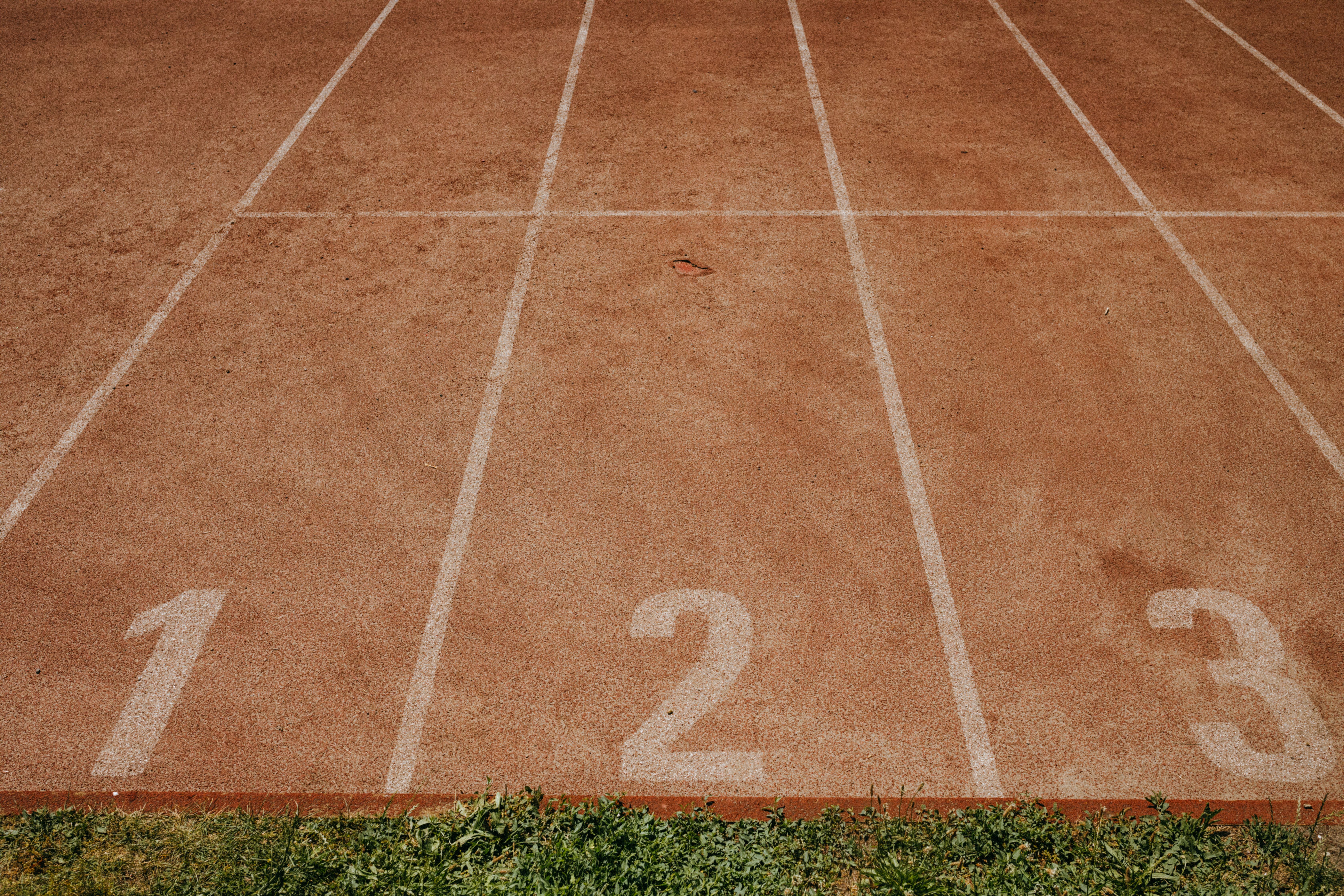Square Root of 8 in Programming: Math, Code & Simplified Form